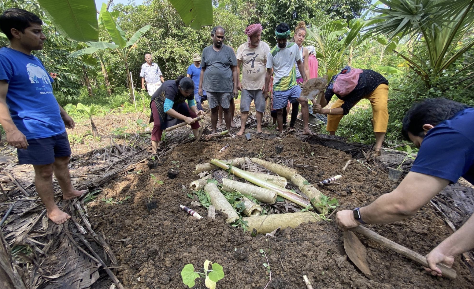 Permaculture Design Course in India